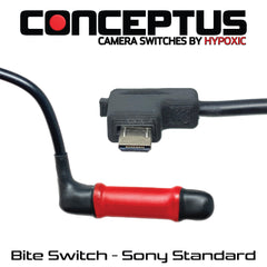 Camera Switches and Adapters